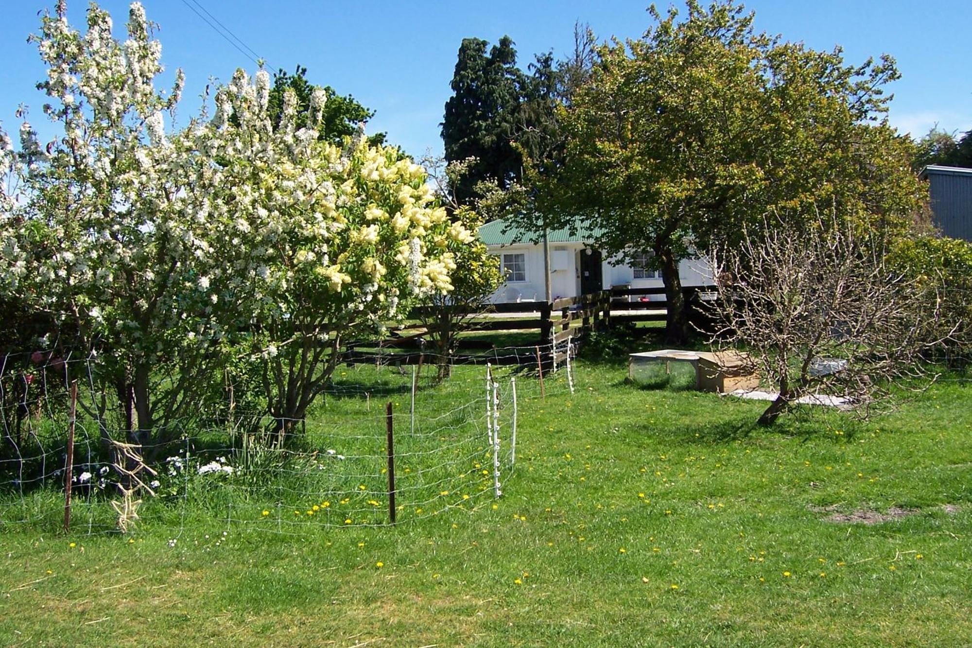 Wacky Stays - Unique Farm-Stay Glamping Rentals, Free Animal Feeding Tours Kaikoura Exterior foto
