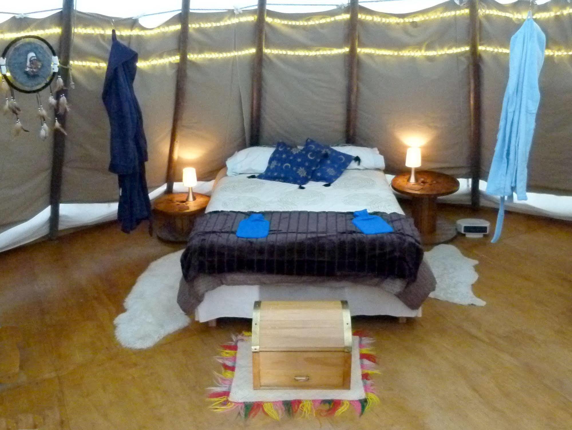 Wacky Stays - Unique Farm-Stay Glamping Rentals, Free Animal Feeding Tours Kaikoura Exterior foto